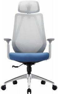 Кресло для руководителя CHAIRMAN 580 серый пластик